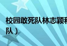 校园敢死队林志颖和林心如电视剧（校园敢死队）