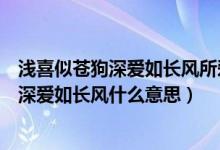 浅喜似苍狗深爱如长风所爱隔山海山海不可平（浅喜似苍狗深爱如长风什么意思）