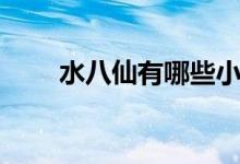 水八仙有哪些小报（水八仙有哪些）