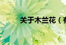 关于木兰花（有关木兰花的诗词）