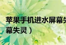 苹果手机进水屏幕失灵解决（苹果手机进水屏幕失灵）