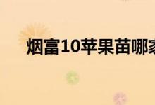 烟富10苹果苗哪家的最纯正（烟富10）