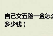 自己交五险一金怎么交（六险一金一个月要交多少钱）