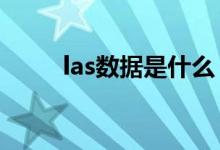 las数据是什么（LAS是什么指标）