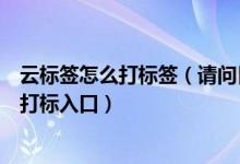 云标签怎么打标签（请问目前有哪几个渠道可进入云标签的打标入口）