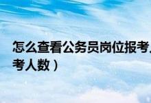 怎么查看公务员岗位报考人数查询（怎么查看公务员岗位报考人数）