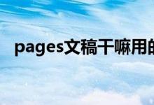 pages文稿干嘛用的（pages文件阅读器）