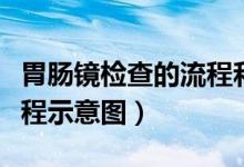 胃肠镜检查的流程和注意事项（胃肠镜检查过程示意图）