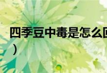 四季豆中毒是怎么回事（四季豆中毒主要原因）