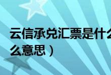 云信承兑汇票是什么样的（云信承兑汇票是什么意思）