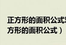 正方形的面积公式对角线乘对角线除以2（正方形的面积公式）