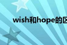 wish和hope的区别（wish什么意思）