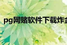 pg网赌软件下载炸金花（pg网赌软件下载）