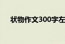 状物作文300字左右（状物作文300字）