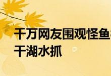 千万网友围观怪鱼被抓到了 千万网友围观抽干湖水抓