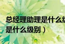 总经理助理是什么级别的经理人（总经理助理是什么级别）