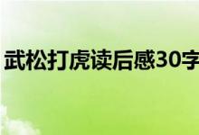 武松打虎读后感30字左右（武松打虎读后感）