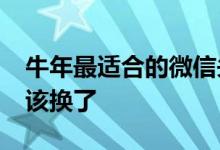 牛年最适合的微信头像（2022你的微信头像该换了