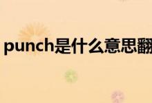 punch是什么意思翻译（punch是什么意思）