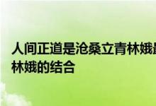 人间正道是沧桑立青林娥最后结局 人间正道是沧桑杨立青与林娥的结合