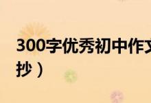 300字优秀初中作文大全（初中300字作文摘抄）