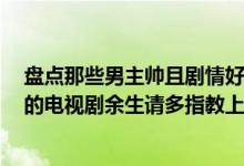 盘点那些男主帅且剧情好的电视剧（安利5部男主是高颜值的电视剧余生请多指教上榜