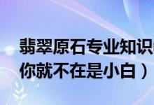 翡翠原石专业知识教程 学会这样看翡翠原石你就不在是小白）