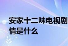 安家十二味电视剧剧情 安家十二味电视剧剧情是什么