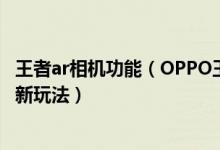 王者ar相机功能（OPPO王者荣耀AR相机带你开启次元合影新玩法）