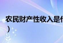 农民财产性收入是什么意思（农民财产性收入）