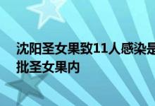 沈阳圣女果致11人感染是进口的吗 沈阳某水果批发市场一批圣女果内