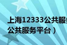 上海12333公共服务平台网站（上海123333公共服务平台）