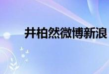 井柏然微博新浪 井柏然告别微博INS