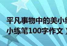 平凡事物中的美小练笔300（平凡事物中的美小练笔100字作文）