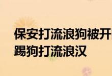 保安打流浪狗被开除狗怎么样了 我市有保安踢狗打流浪汉