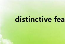 distinctive feature（distinctive）