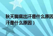 秋天脚底出汗是什么原因女用什么方法泡脚?（秋天脚底出汗是什么原因）