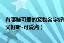 有哪些可爱的宠物名字好听（可爱萌又洋气的宠物名字独特又好听-可爱点）