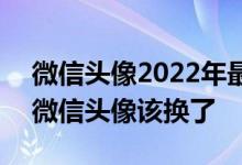 微信头像2022年最火的头像唯美 2022你的微信头像该换了