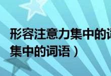 形容注意力集中的词语四字词语（形容注意力集中的词语）