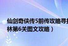 仙剑奇侠传5前传攻略寻找阵法 仙剑奇侠传5前传攻略仙竹林第6关图文攻略）