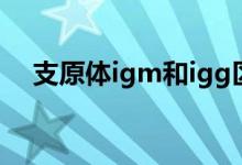 支原体igm和igg区别（igm和igg区别）