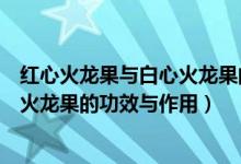 红心火龙果与白心火龙果的功效与作用（红心火龙果和白心火龙果的功效与作用）