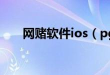 网赌软件ios（pg网赌软件下载下载）