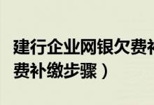 建行企业网银欠费补缴方式（建行企业网银欠费补缴步骤）