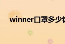 winner口罩多少钱一个（winner口罩）