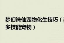 梦幻诛仙宠物化生技巧（梦幻诛仙宠物培养心得之如何打造多技能宠物）