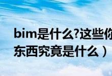 bim是什么?这些你都知道吗（那个叫bim的东西究竟是什么）