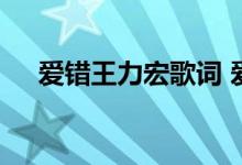 爱错王力宏歌词 爱错王力宏完整版歌词