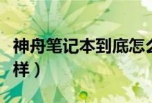 神舟笔记本到底怎么样（神舟笔记本质量怎么样）